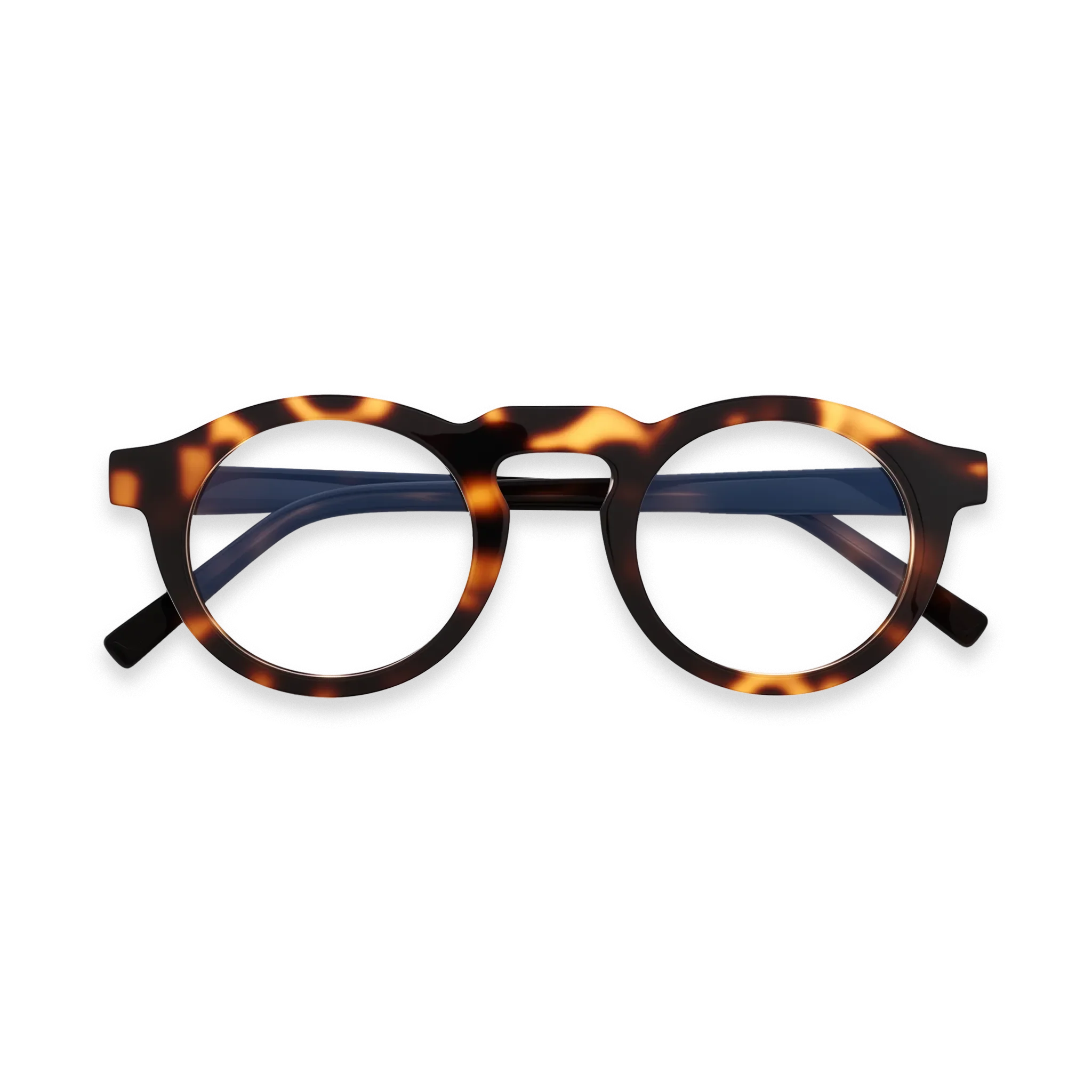Everleigh - Amber Tortoise