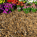 10mm Golden Gravel - Half Bulk Bag / Solent Gold & Yellow
