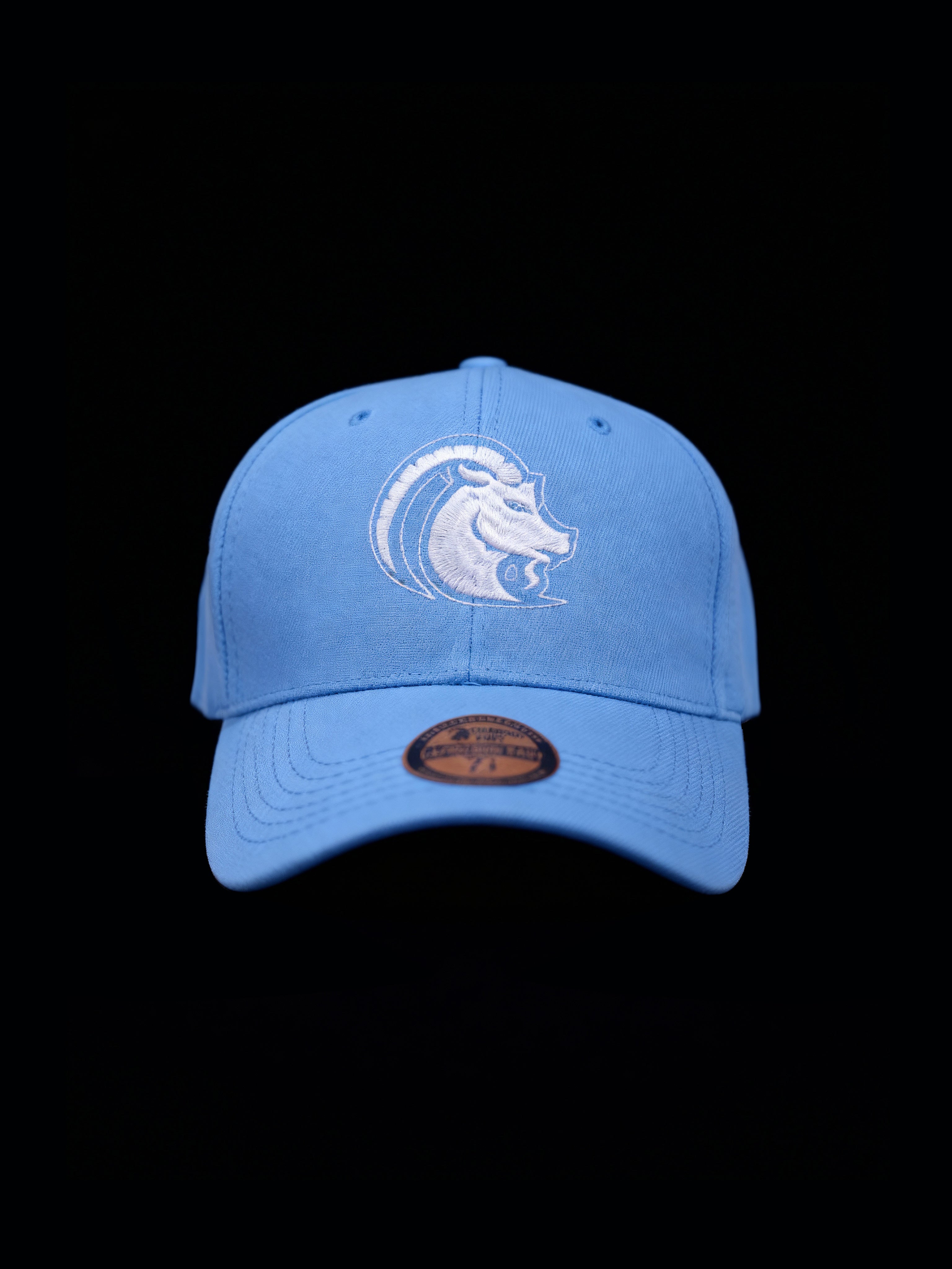 LUX SKY (CAP)