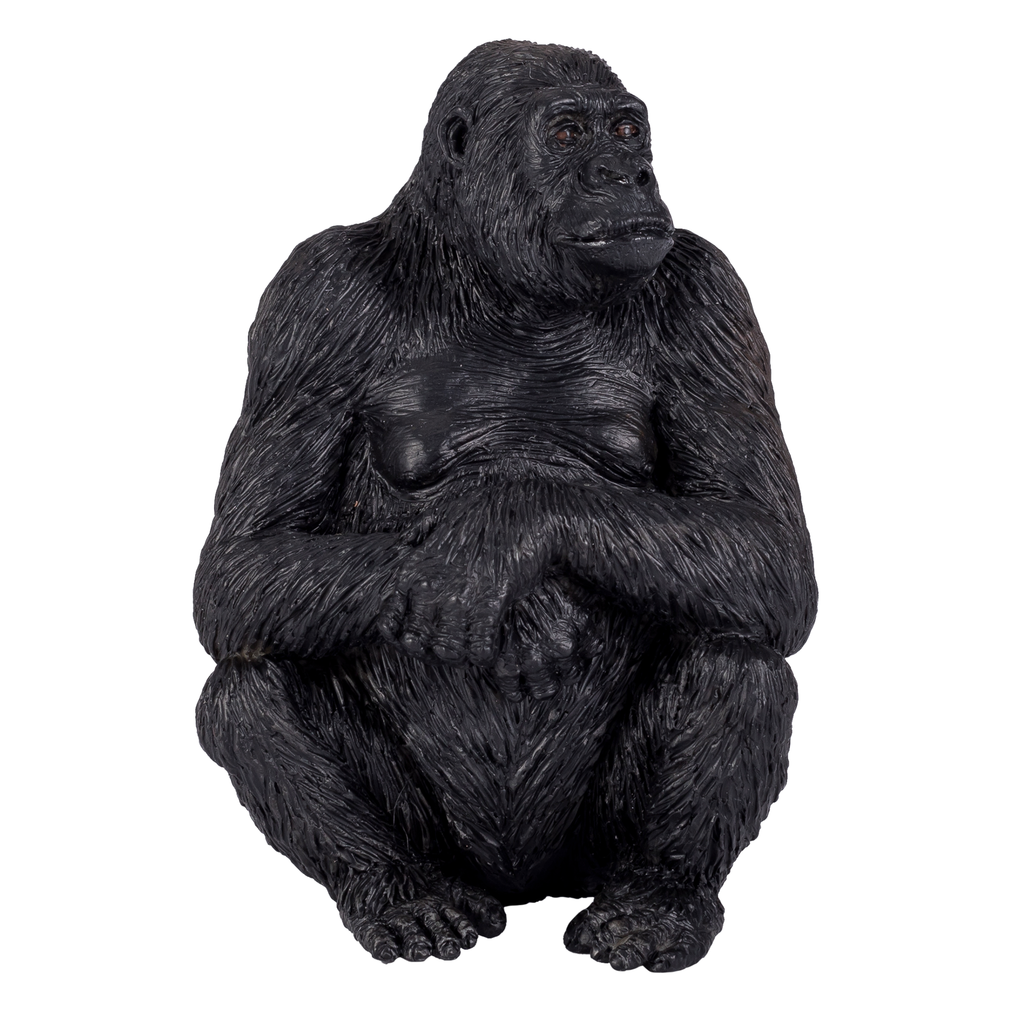 Gorilla Female