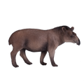 Brazilian Tapir