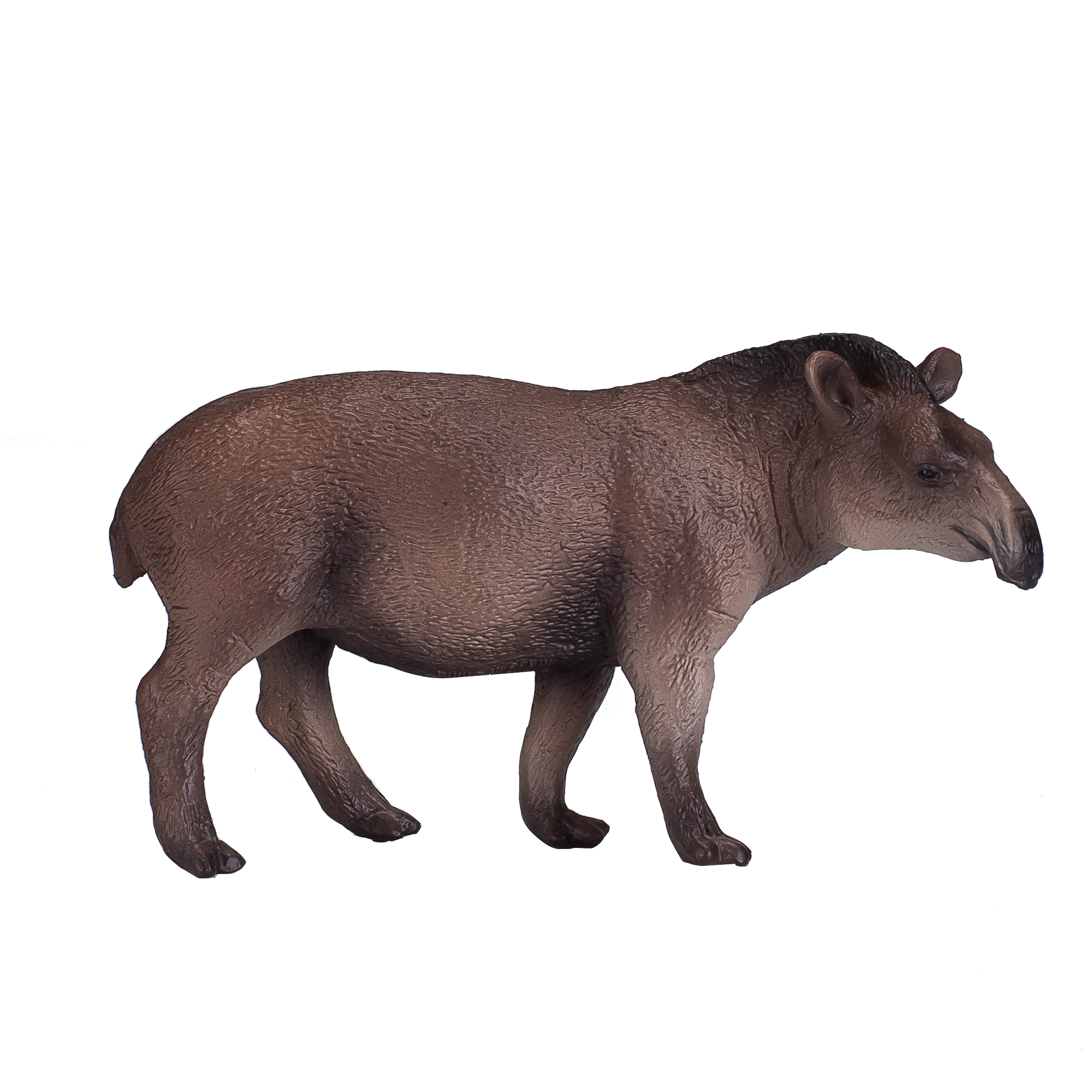 Brazilian Tapir