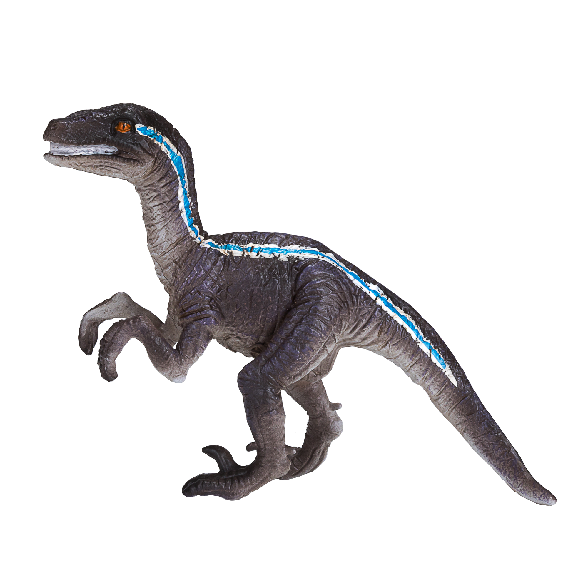Velociraptor Standing