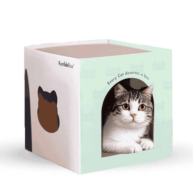 Katzenhaus aus Pappe - Rumble "Box"