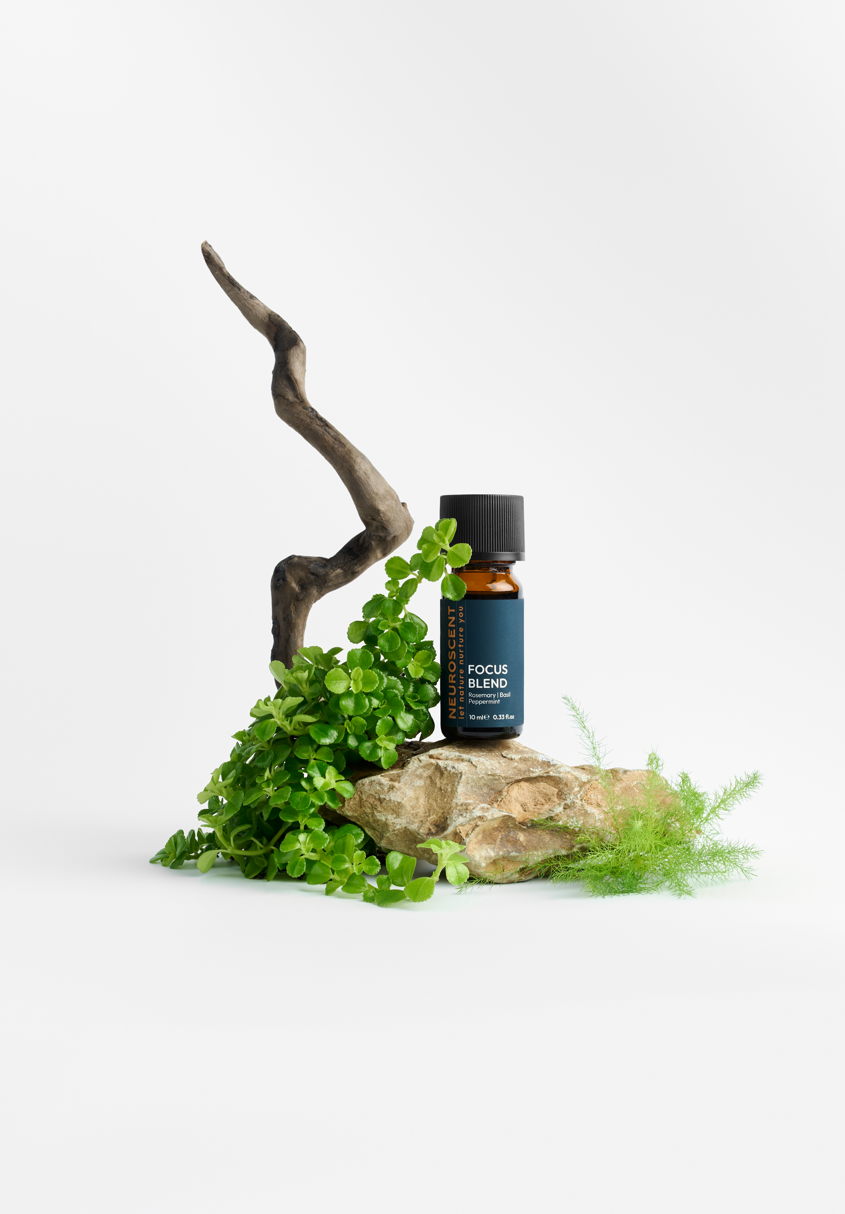 Focus Essential Oil Blend 10ml - Focus Essential Oil Blend 10ml