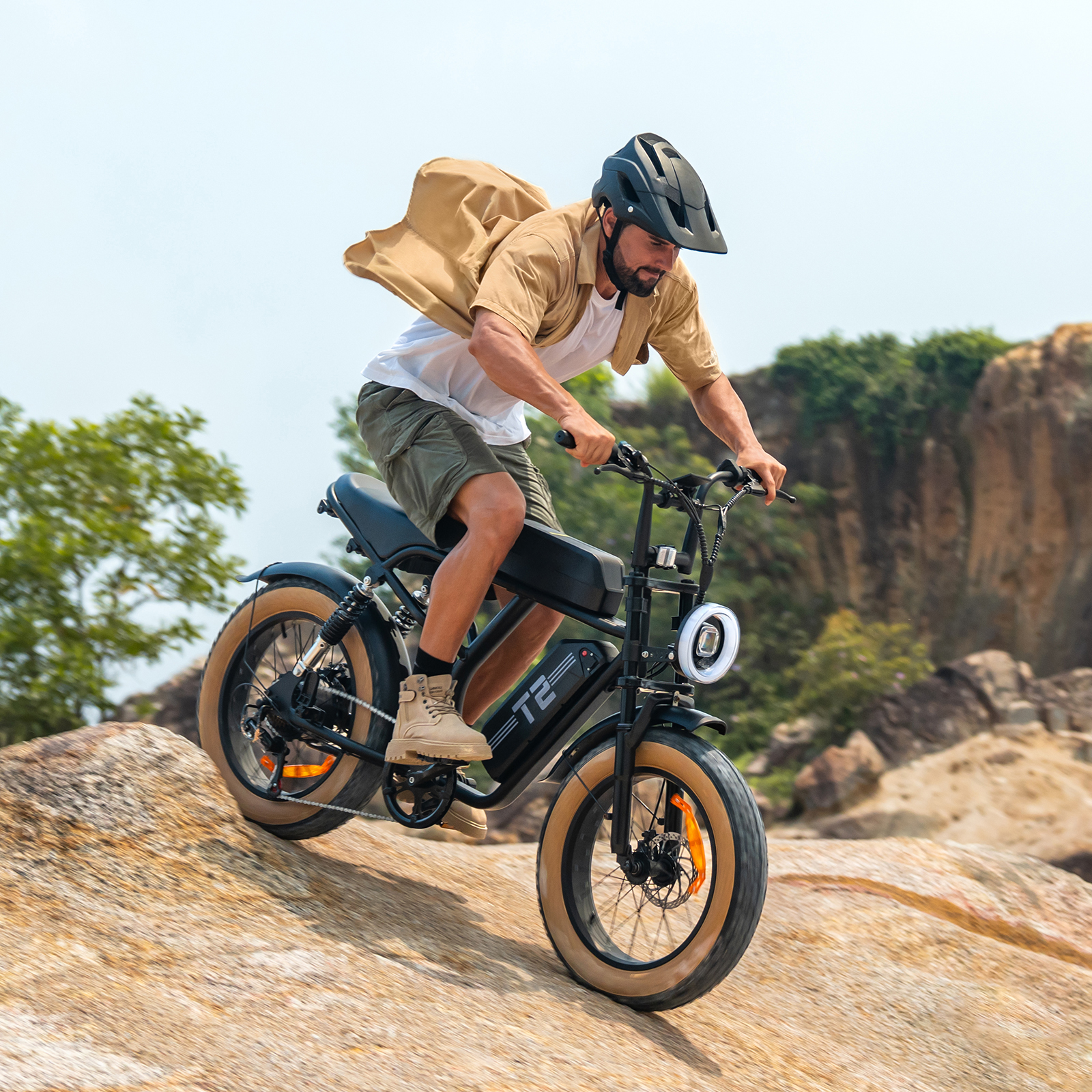 T2 20*4.0 Inch 48 V 15.6 Ah EBike - Brown