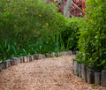 2-6mm Permeable Aggregate (SuDS) - Sample