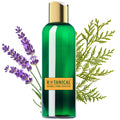 Shampoo for Thinning Hair & Hair Loss | Sensitive Scalp | Lavender & Cypress | SLS-Free | Essential Hair Rescue - Travel Size (3.4 fl oz)