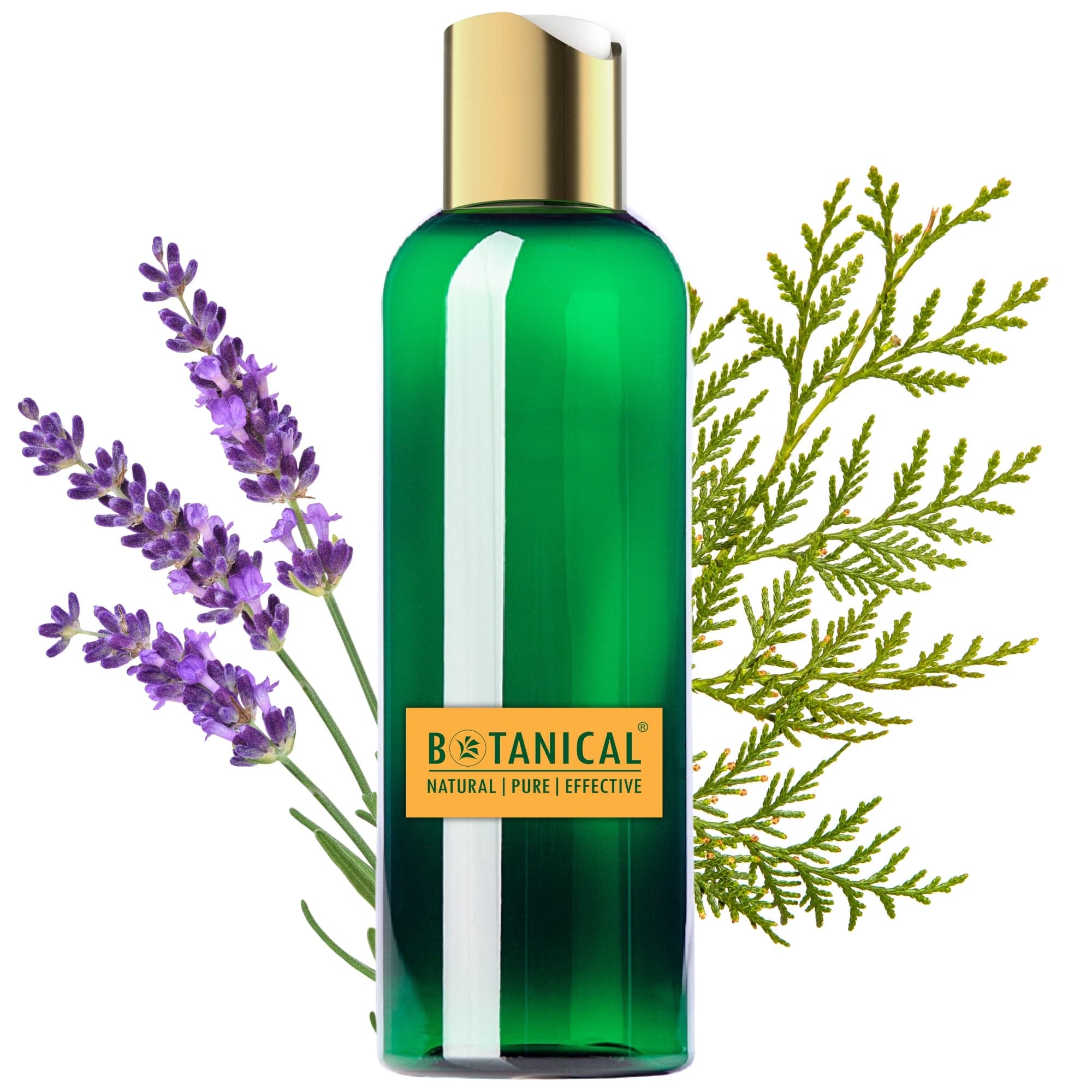 Shampoo for Thinning Hair & Hair Loss | Sensitive Scalp | Lavender & Cypress | SLS-Free | Essential Hair Rescue - Travel Size (3.4 fl oz)