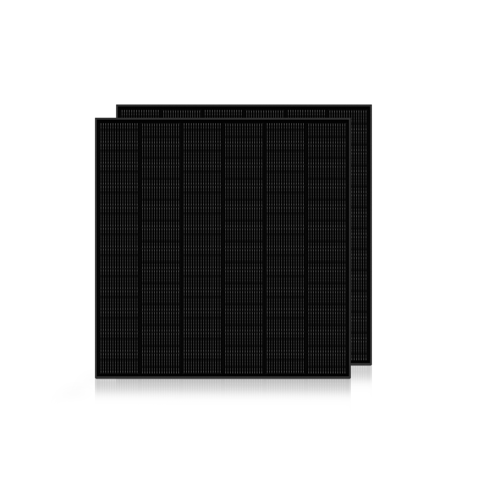 Ray Flachdach oder Garten 285W Solarmodul - 2*285W Solarmodule / Ohne MC4-Adapterkabel