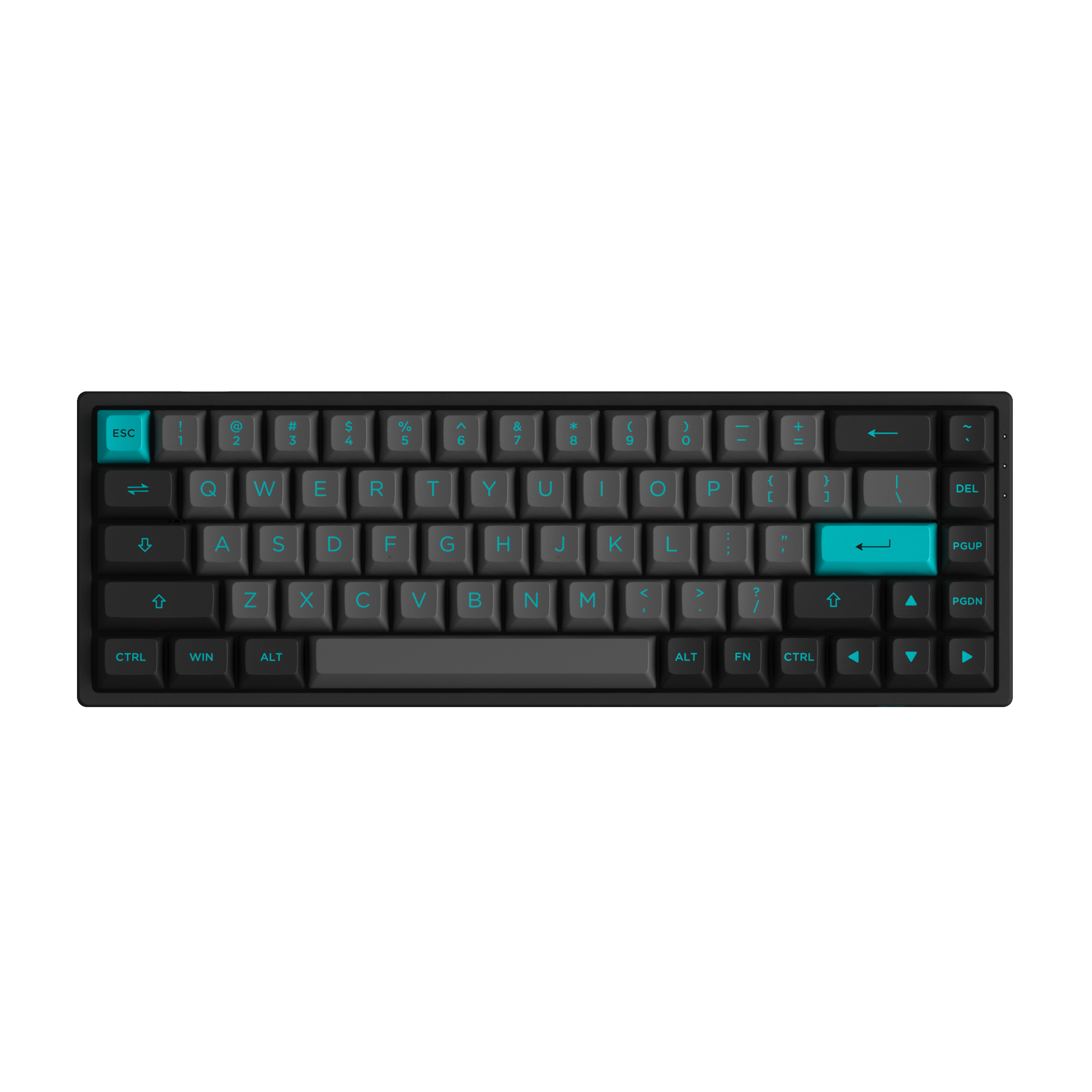 Black & Cyan 3068B Plus - Akko CS Jelly Purple