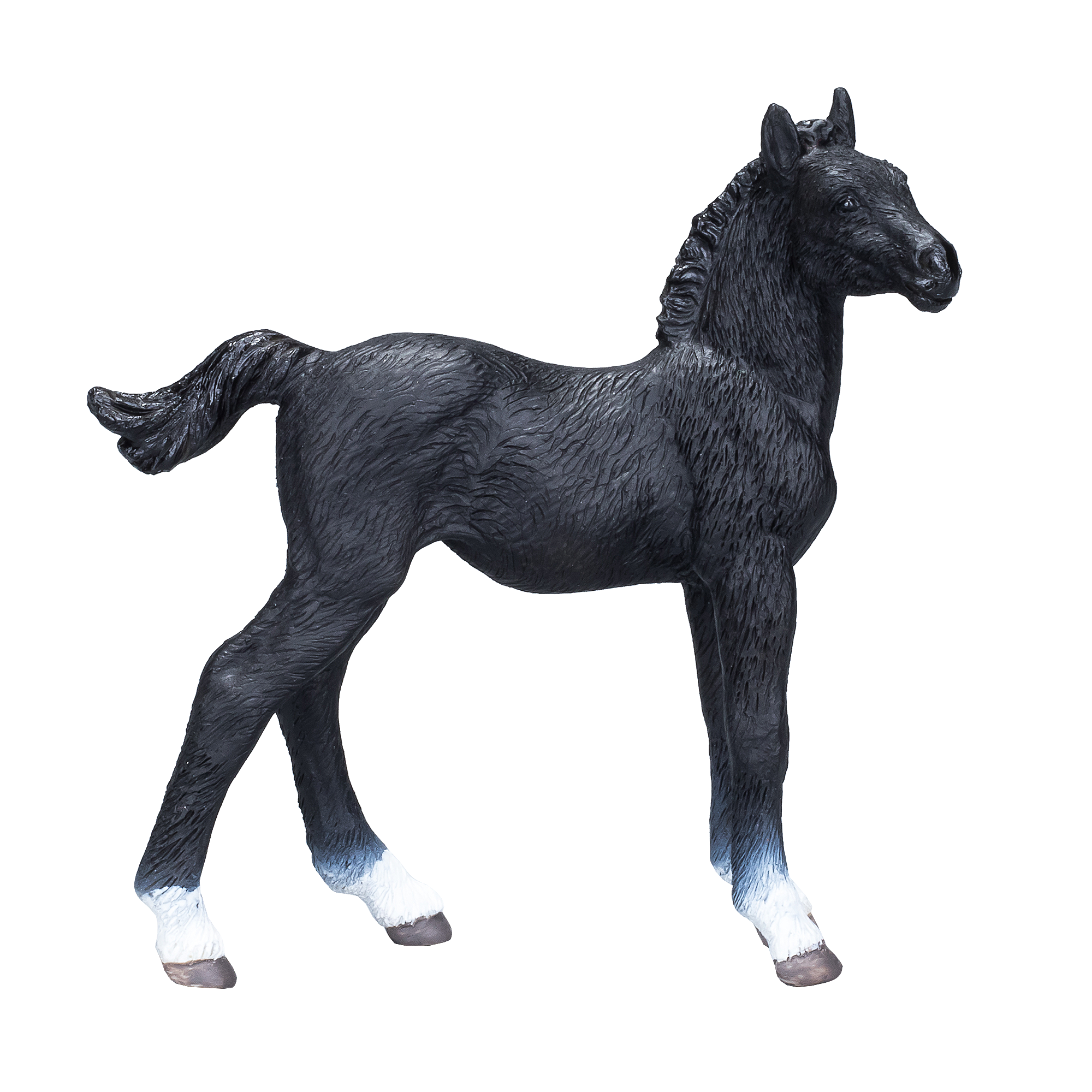 Hanoverian Foal Black