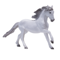 Lusitano Grey