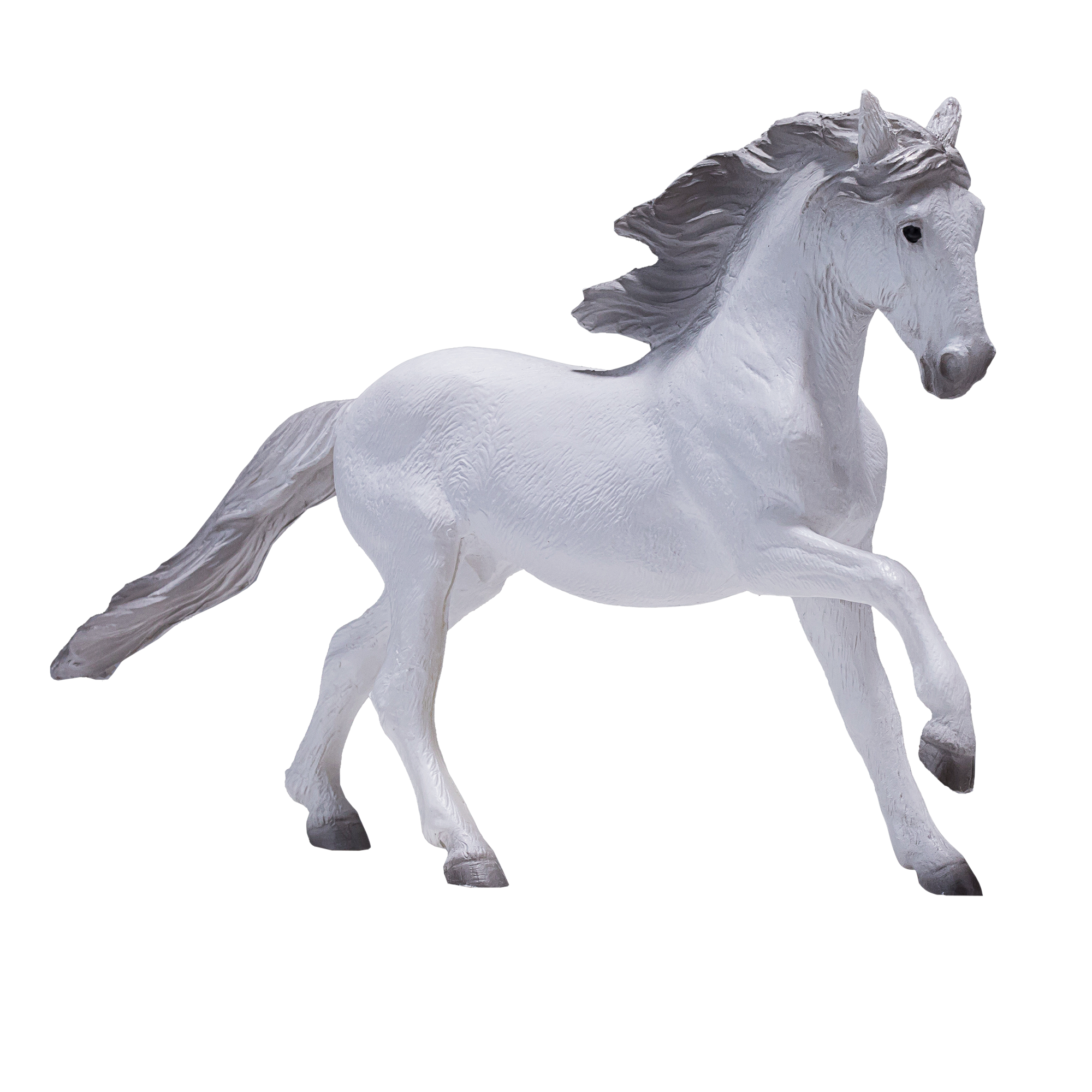 Lusitano Grey
