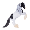 Irish Cob Stallion