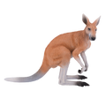 Kangaroo