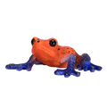 Poison Dart Tree Frog