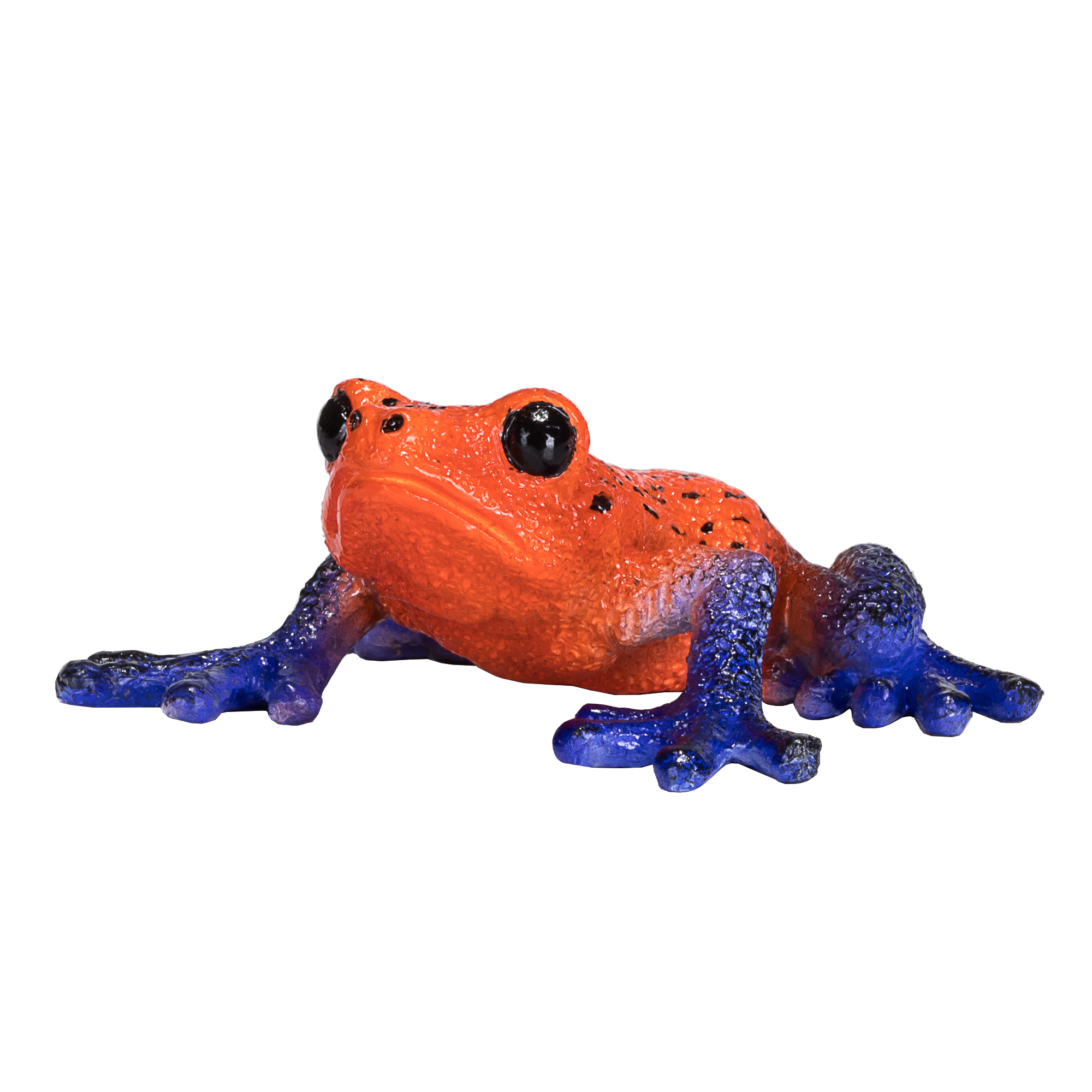 Poison Dart Tree Frog