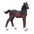 Hanoverian Foal Bay