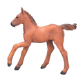 Arabian Foal Chestnut