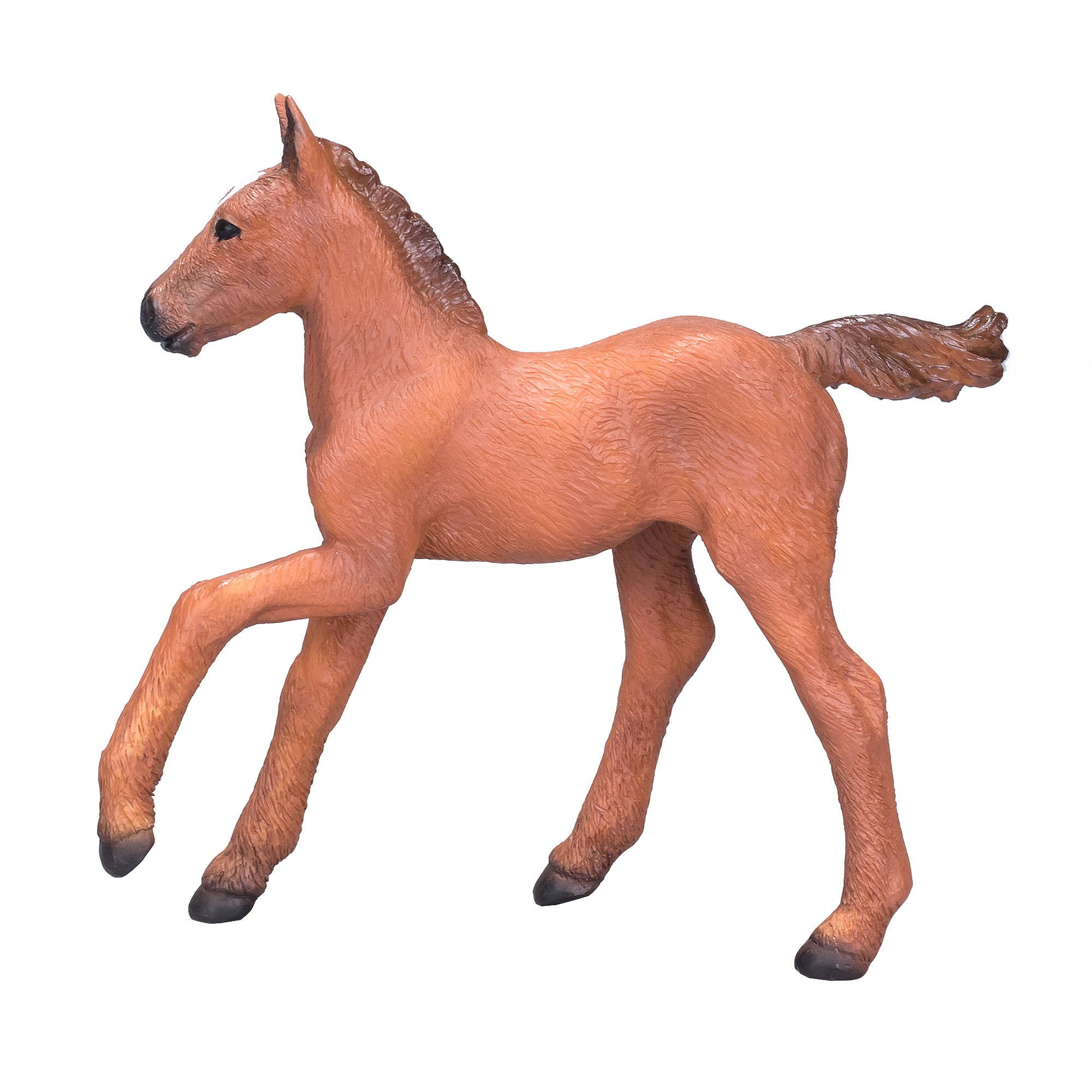 Arabian Foal Chestnut
