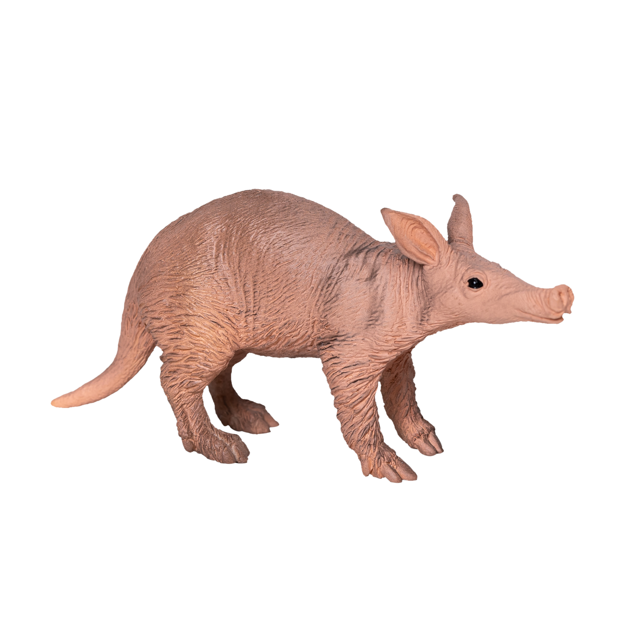 Aardvark