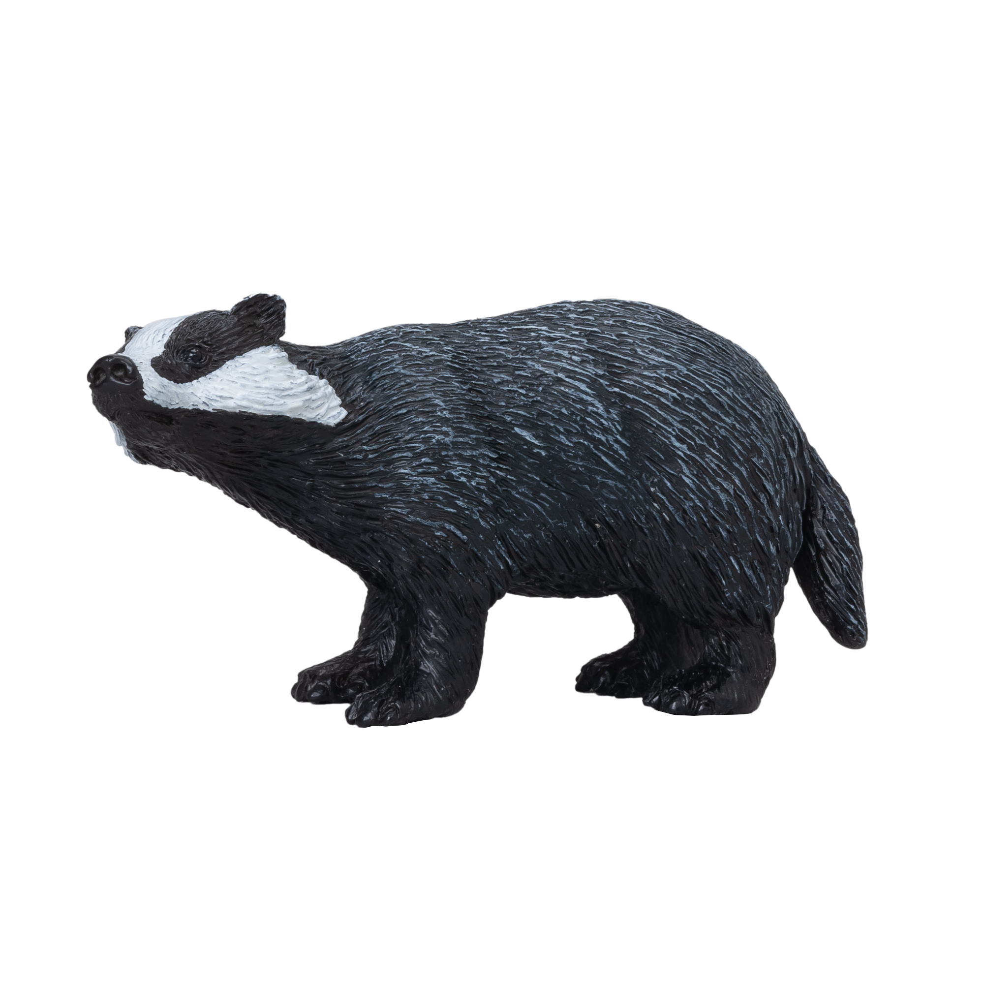 Badger