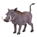 Warthog
