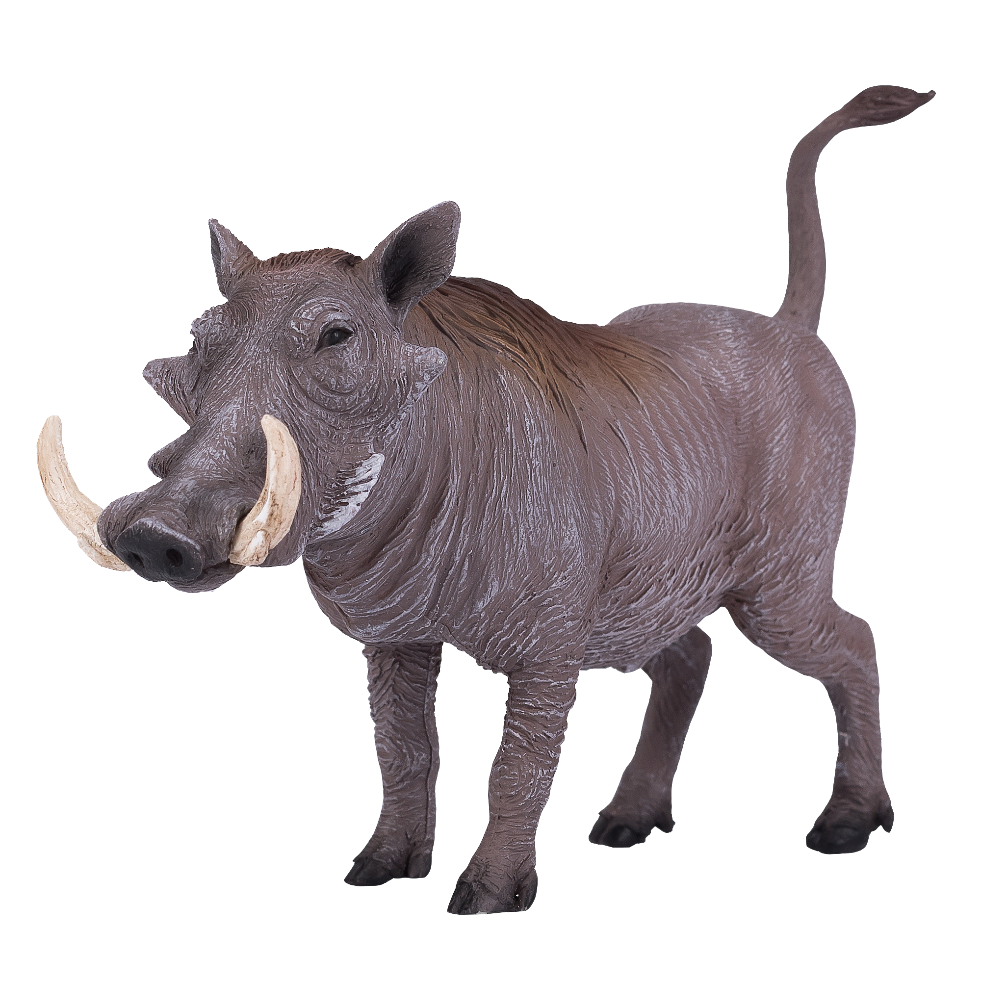 Warthog