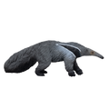 Giant Anteater
