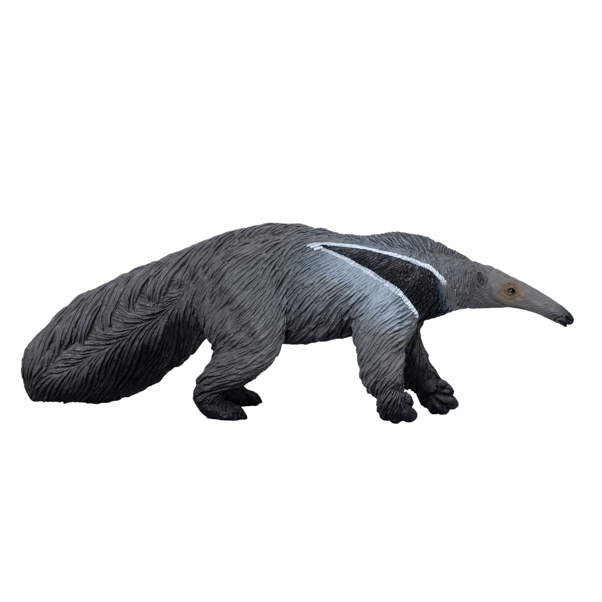 Giant Anteater