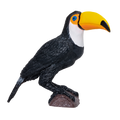Toucan