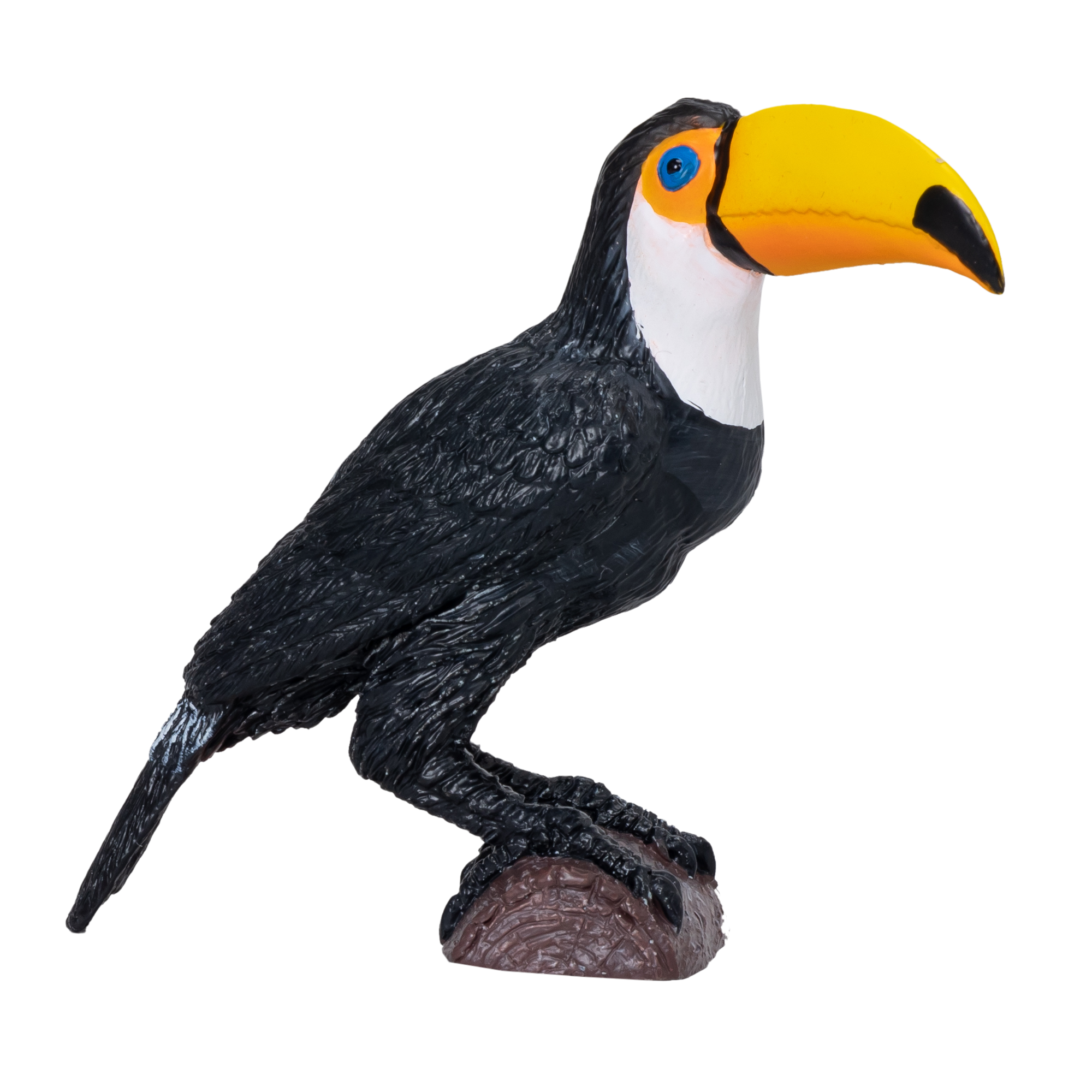 Toucan