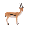 Thomson Gazelle