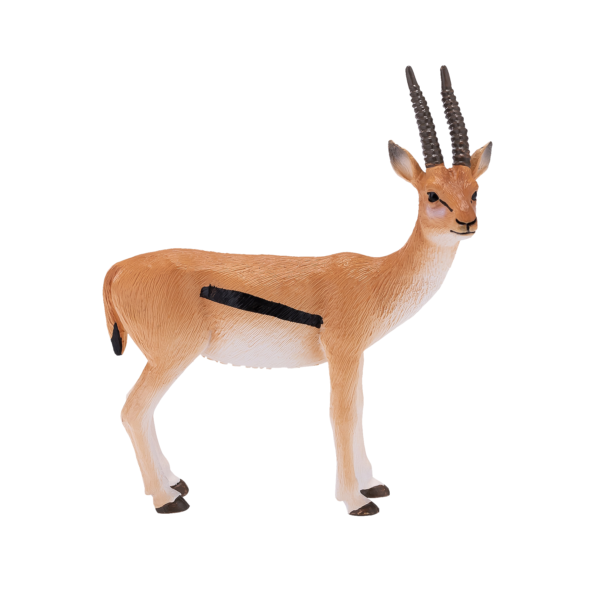 Thomson Gazelle