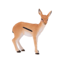 Thomson Gazelle Calf