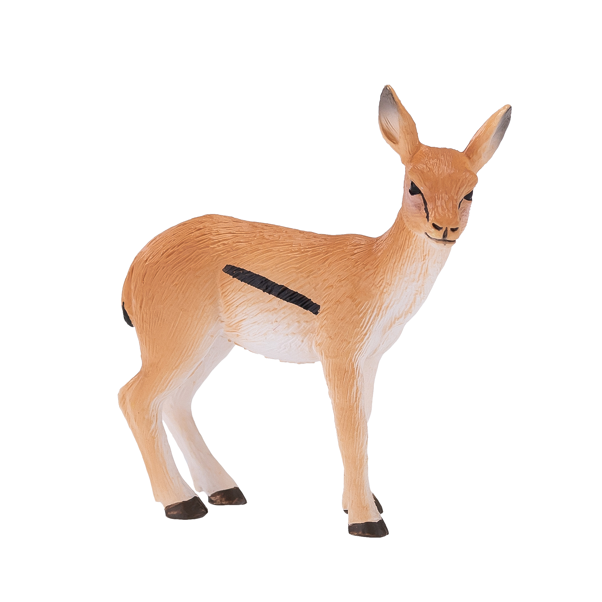 Thomson Gazelle Calf