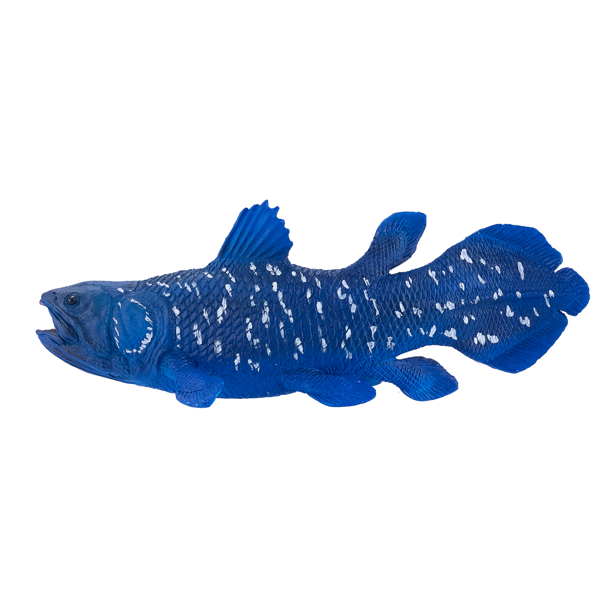 Coelacanth