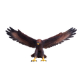Golden Eagle