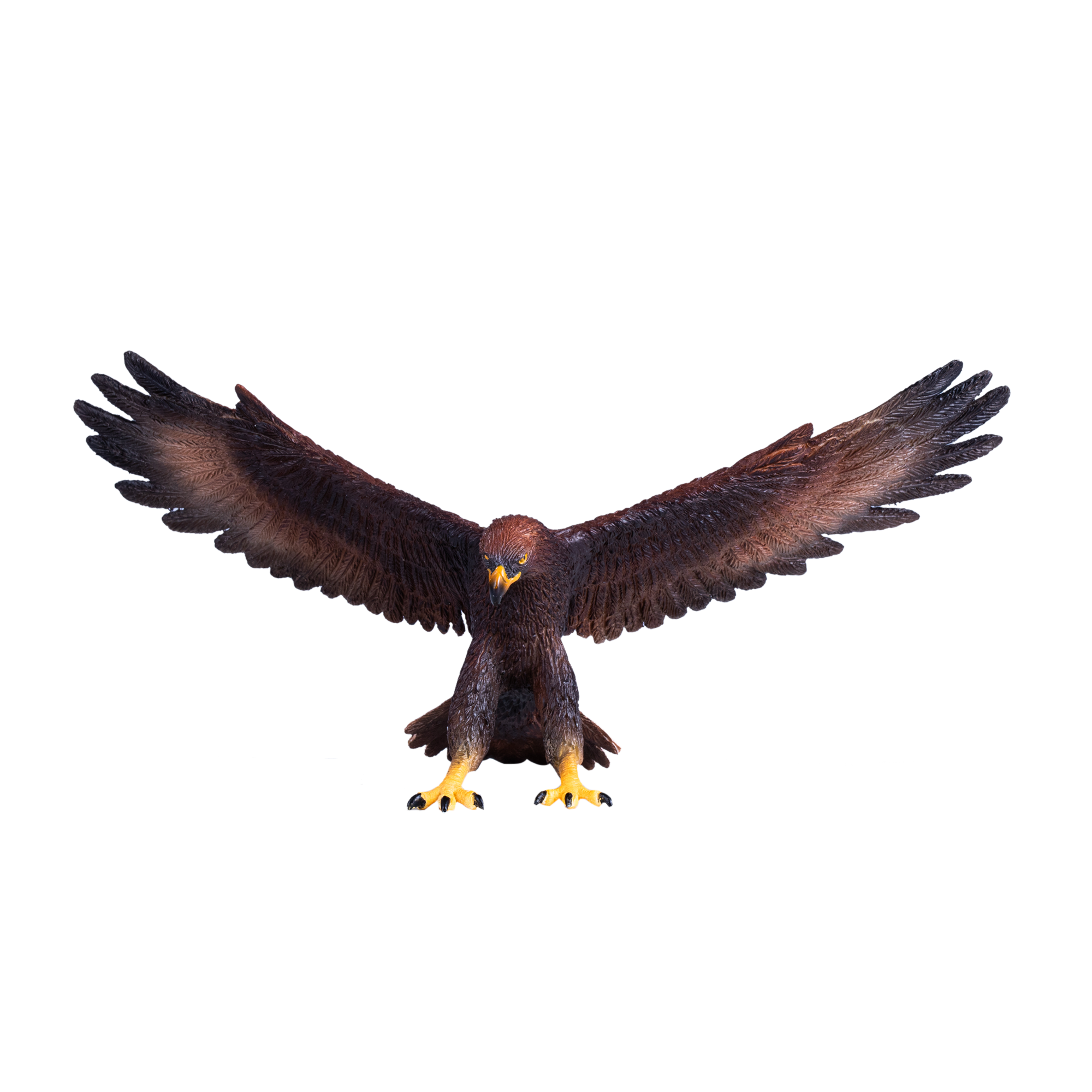 Golden Eagle
