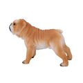 English Bulldog