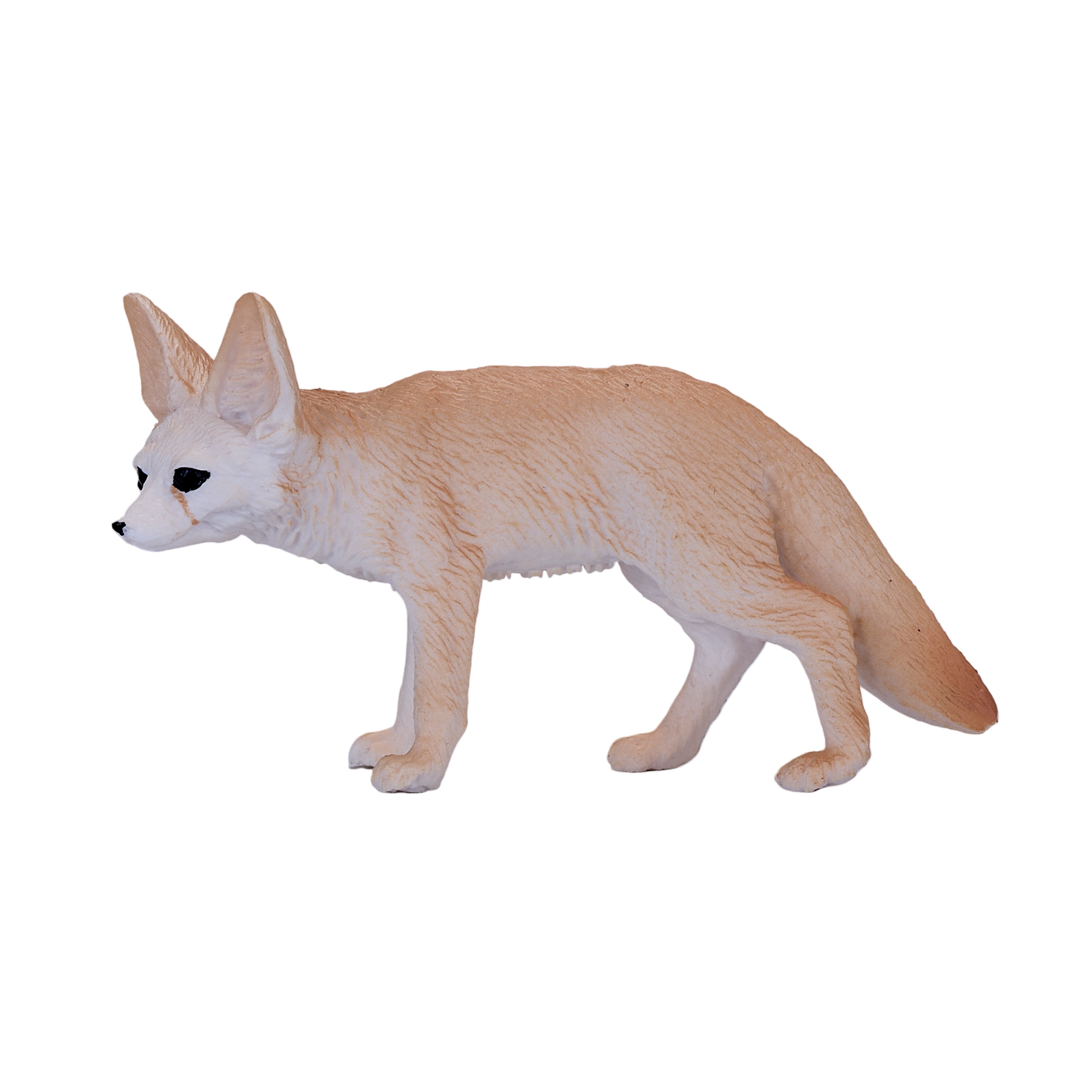 Fennec Fox