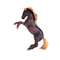 Brumby Stallion