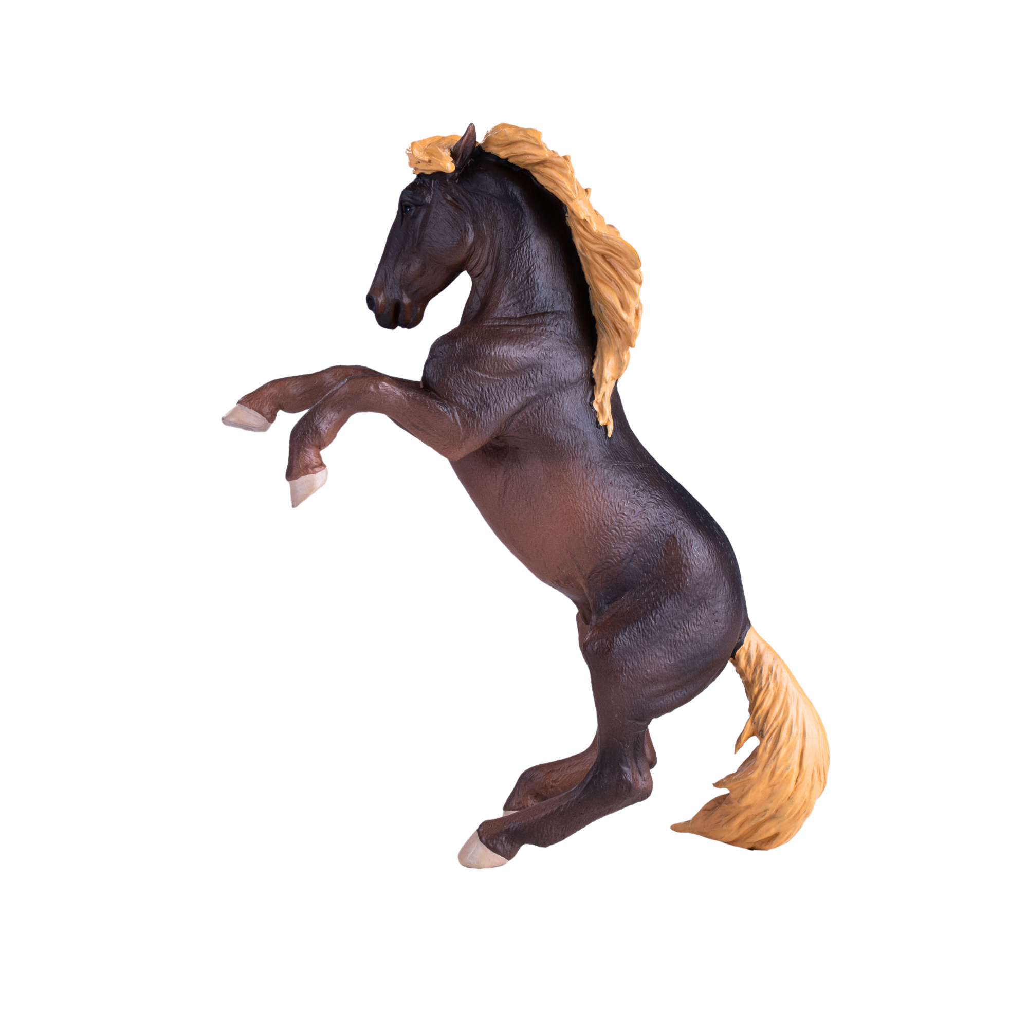 Brumby Stallion