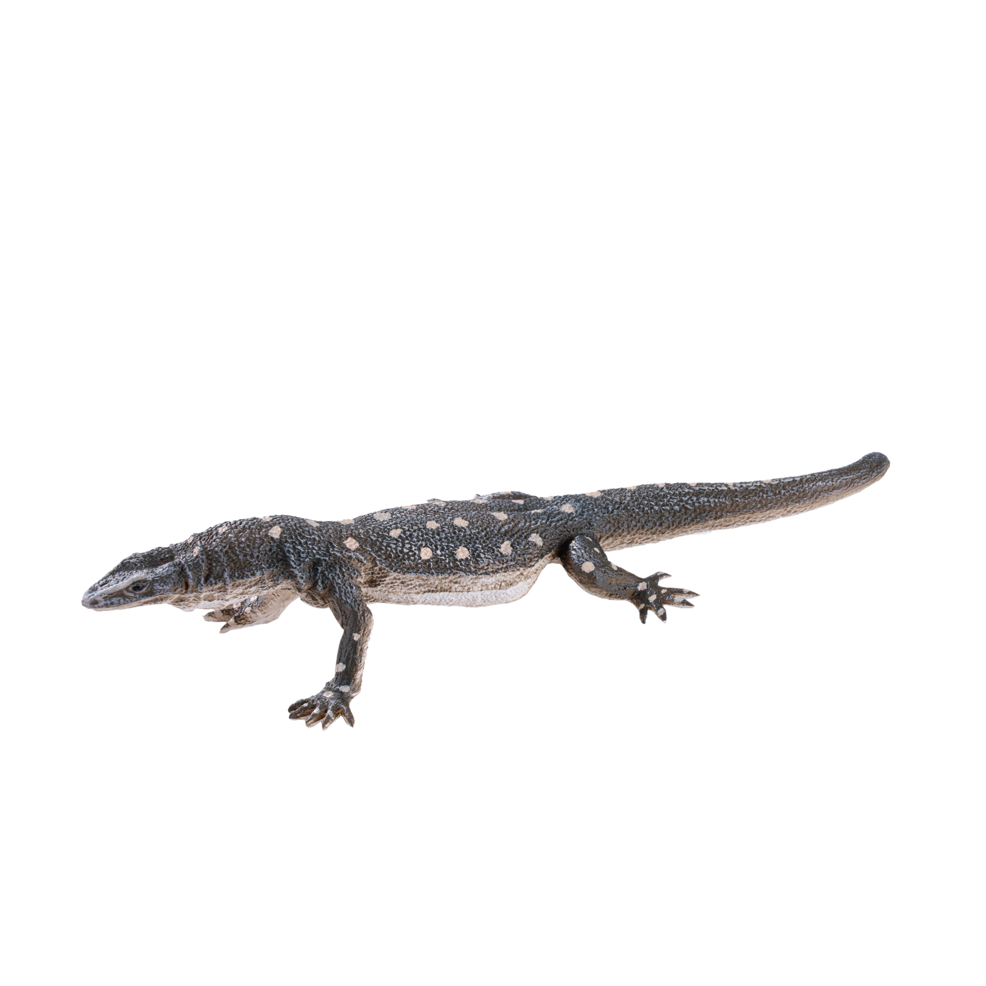 Perentile Lizard