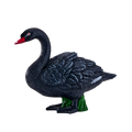 Black Swan