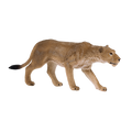 Lioness