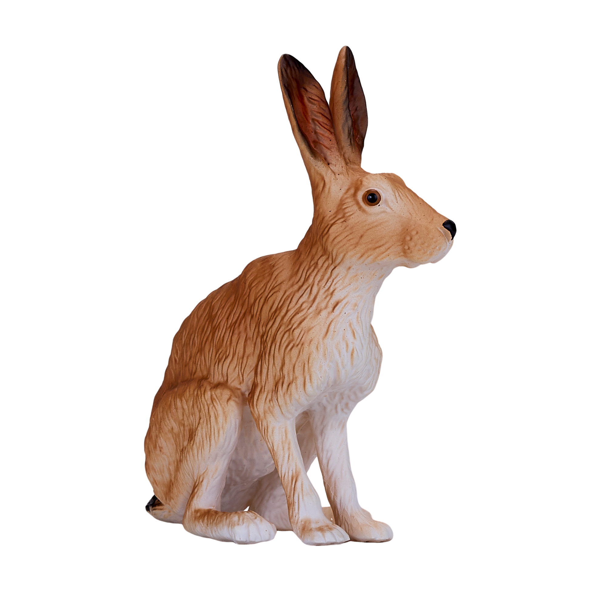 Hare