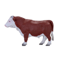 Hereford Bull