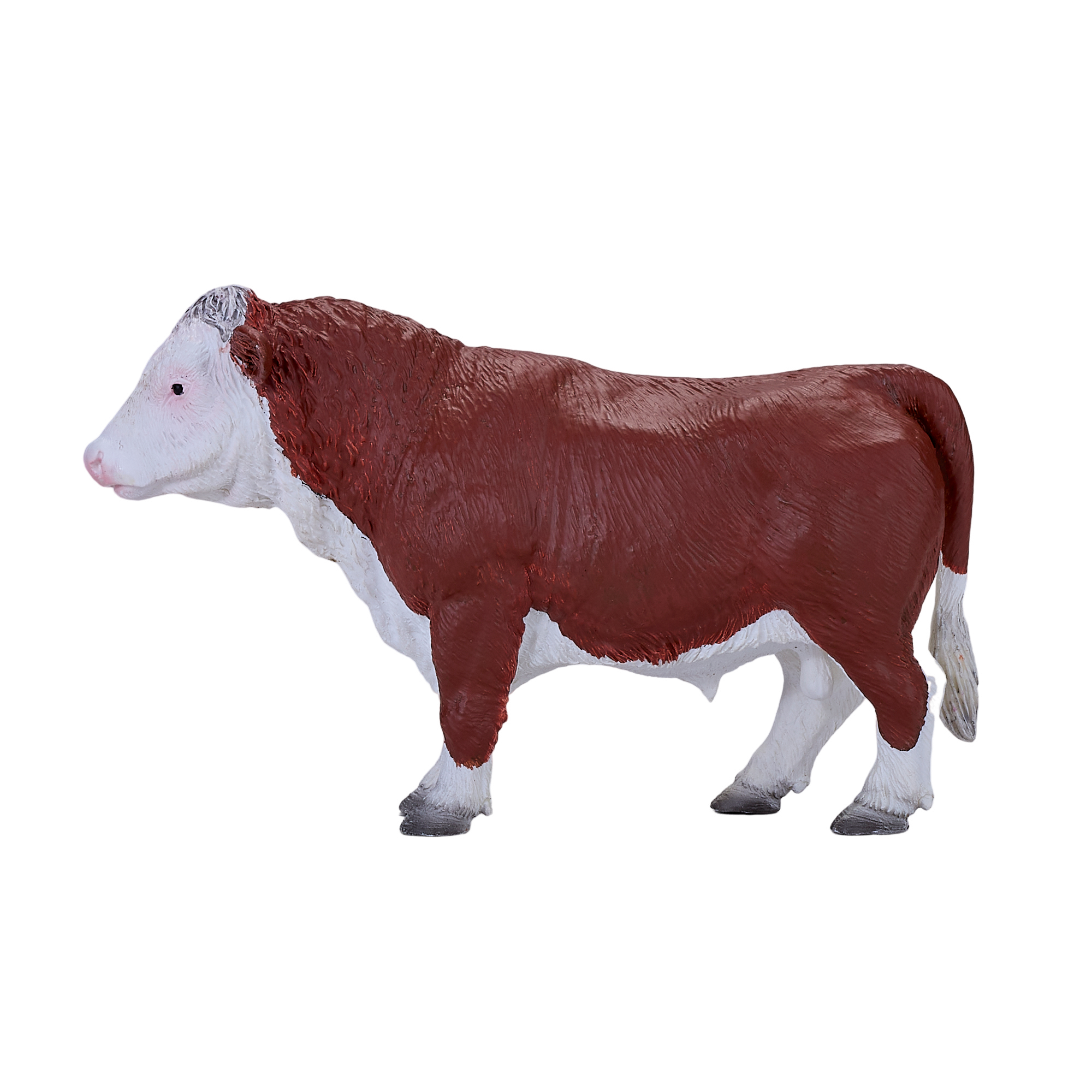 Hereford Bull